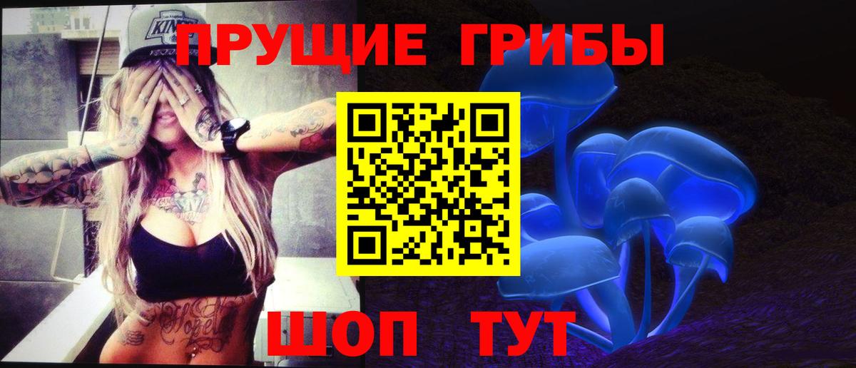 Галлюциногенные грибы Cubensis Александров
