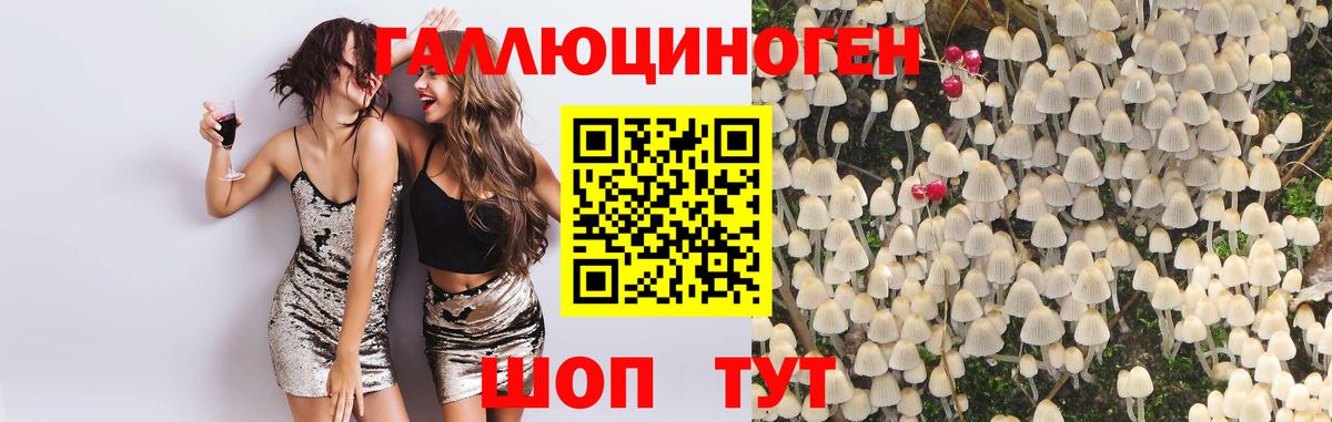 Александров  Галлюциногенные грибы мухоморы  даркнет сайт  Вход с VPN 
